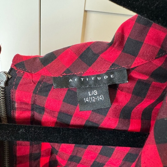 Red and Black Gingham Blouse - Picture 7 of 13